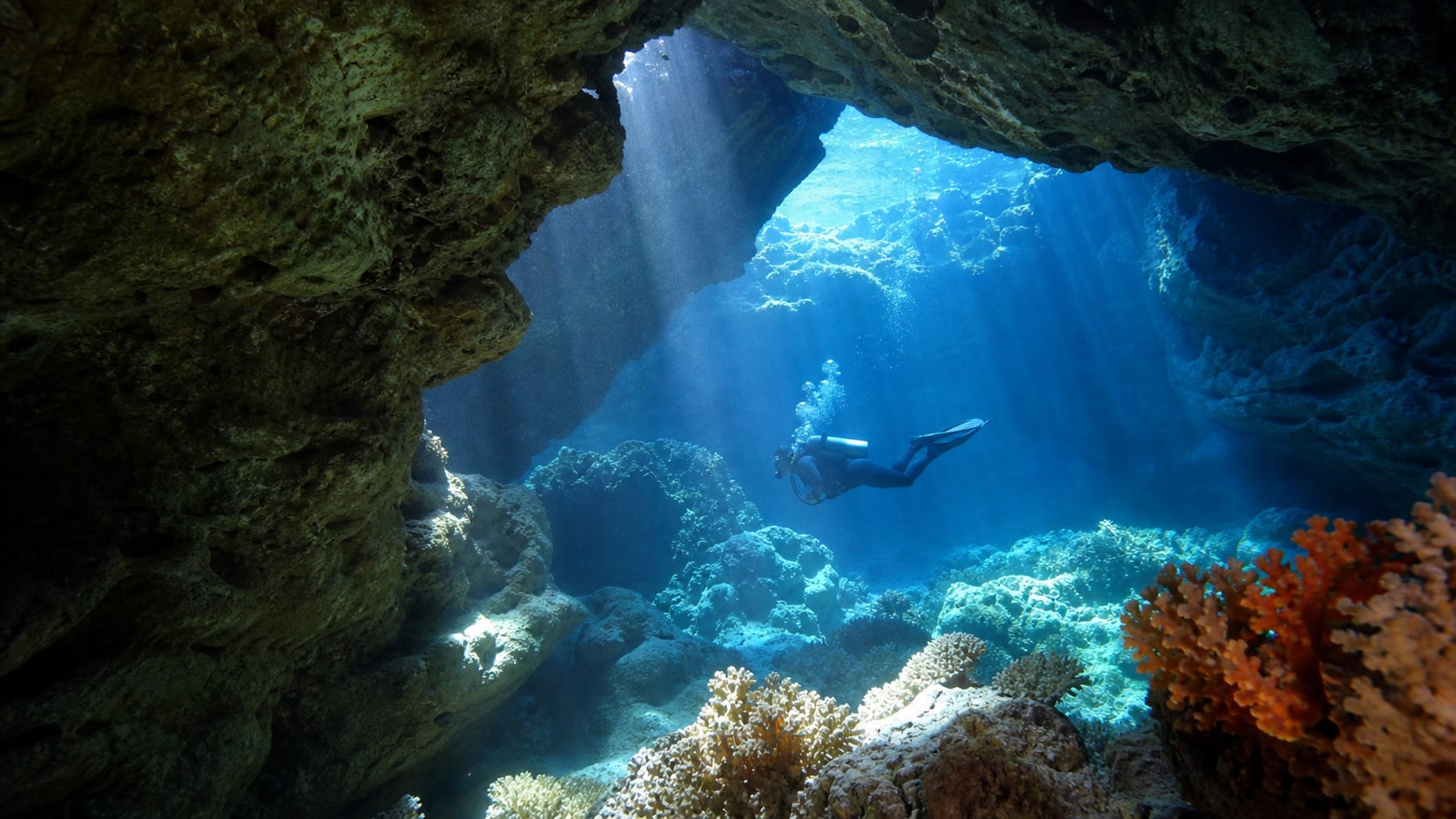 St. Johns Reef: Tauchsafari in Ägyptens tiefen Süden